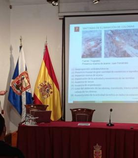 Los expertos dan por controlada la “pandemia” de termitas que afecta Tacoronte desde principios de siglo · foto 2