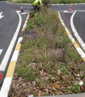 El Cabildo de Tenerife invierte cerca de 57.000 euros en la mejora paisajística de la TF-316 · foto 2