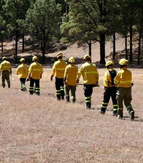 El Hierro inicia la campaña de mayor riesgo contra incendios forestales apelando al apoyo de la ciudadanía · foto 3