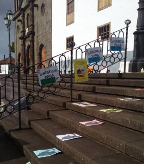 ¿DÓNDE ESTÁN LOS GATOS “DESAPARECIDOS” DE TACORONTE? · foto 11