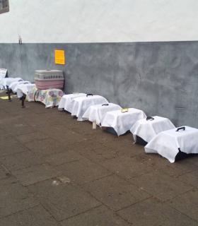 ¿DÓNDE ESTÁN LOS GATOS “DESAPARECIDOS” DE TACORONTE? · foto 9