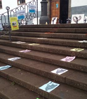 ¿DÓNDE ESTÁN LOS GATOS “DESAPARECIDOS” DE TACORONTE? · foto 7