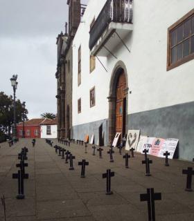 ¿DÓNDE ESTÁN LOS GATOS “DESAPARECIDOS” DE TACORONTE? · foto 6