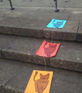 ¿DÓNDE ESTÁN LOS GATOS “DESAPARECIDOS” DE TACORONTE? · foto 8