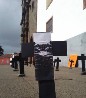 ¿DÓNDE ESTÁN LOS GATOS “DESAPARECIDOS” DE TACORONTE? · foto 10