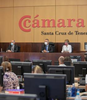 El Gobierno de Canarias culmina el abono de los 87,4 millones de ayudas autonómicas a 15.038 pymes y autónomos · foto 2