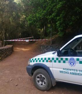El Cabildo de Tenerife evita embotellamientos y colapso en las carreteras del Teide durante las Perseidas · foto 1