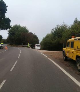 El Cabildo de Tenerife evita embotellamientos y colapso en las carreteras del Teide durante las Perseidas · foto 3
