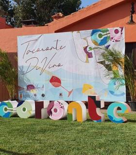 Nace “Tacoronte DiVino”, un encuentro promocional que engloba el vino, la gastronomía y la cultura local · foto 4