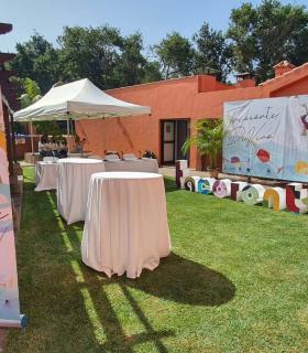Nace “Tacoronte DiVino”, un encuentro promocional que engloba el vino, la gastronomía y la cultura local · foto 6