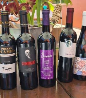 Nace "Tacoronte DiVino" · foto 2