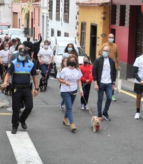 La XVIII Feria de la Ciencia y el VII el Paseo Canino, animaron este domingo el centro de La Orotava · foto 3