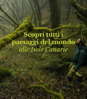 Turismo de Canarias refuerza la promoción del destino entre quienes buscan explorar y conocer la identidad de las Islas · foto 2