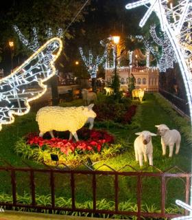 La Orotava, una Villa de sueño en Navidad · foto 5