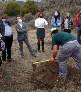 Santa Cruz de Tenerife busca implicar a la ciudadanía en el diseño del futuro parque de Las Mesas · foto 2