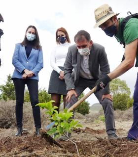 Santa Cruz de Tenerife busca implicar a la ciudadanía en el diseño del futuro parque de Las Mesas · foto 1