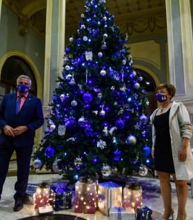 luminado el árbol de Navidad de la ULPGC · foto 2