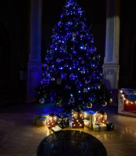 luminado el árbol de Navidad de la ULPGC · foto 4