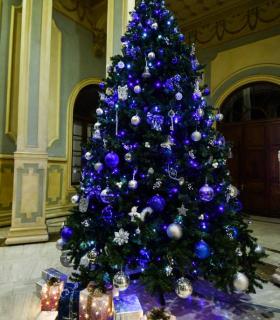 luminado el árbol de Navidad de la ULPGC · foto 5