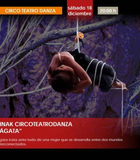 La danza aérea llega a El Sauzal · foto 1