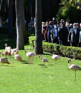 Puerto de La Cruz: Loro Parque inaugura una nueva instalación para los lémures de cola anillada en su 49 aniversario · foto 3