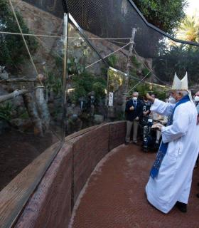 Puerto de La Cruz: Loro Parque inaugura una nueva instalación para los lémures de cola anillada en su 49 aniversario · foto 1