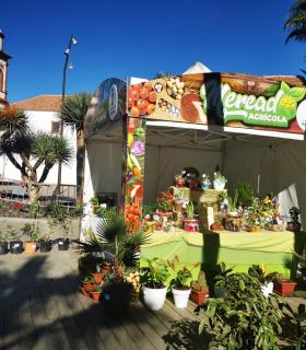 Frescura y calidad este domingo en el Mercado Agrícola de Antigua · foto 2