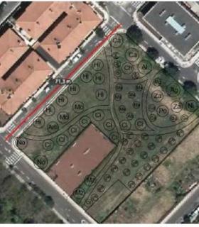 Tacoronte contará con un arboretum frutal conformado por más de 70 árboles de 60 variedades tradicionales de la zona · foto 1