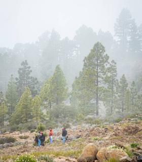 La Pasión de Adeje se está rodando en espacios naturales y patrimoniales significativos del municipio · foto 2