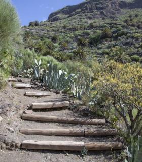 Santa Cruz de Tenerife: más de 39.000 personas visitan Masca tras un año de su reapertura · foto 2