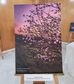 Santiago del Teide: Antonio David Taño Felipe ganador de la XXV edición del Concurso de Fotografía “Almendro en Flor 2022” · foto 3