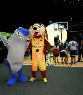 Los jugadores del Club Baloncesto Gran Canaria disfrutan de una visita al acuario Poema del Mar · foto 5