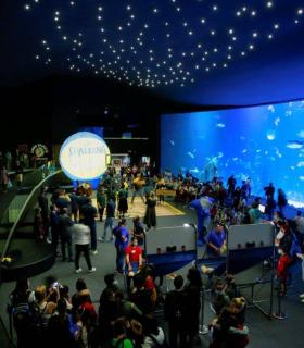 Los jugadores del Club Baloncesto Gran Canaria disfrutan de una visita al acuario Poema del Mar · foto 3