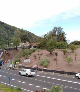 El Cabildo de Tenerife realiza mejoras paisajísticas en el enlace de la TF-42 en Icod de Los Vinos · foto 2