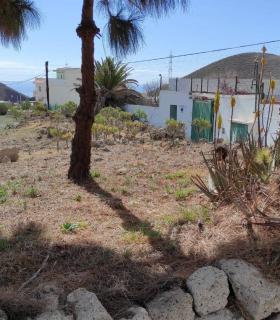 El Cabildo de Tenerife acondiciona el paisaje de la TF-61 desde la autopista hasta la entrada de Güímar · foto 2