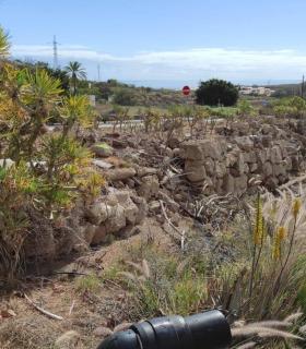 El Cabildo de Tenerife acondiciona el paisaje de la TF-61 desde la autopista hasta la entrada de Güímar · foto 1