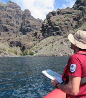 El Cabildo de Tenerife activa una campaña en Teno para proteger la reproducción del guincho · foto 2