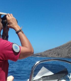 El Cabildo de Tenerife activa una campaña en Teno para proteger la reproducción del guincho · foto 3