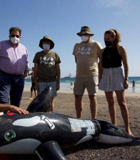 Loro Parque Fundación colabora en una formación en varamiento de cetáceos · foto 2