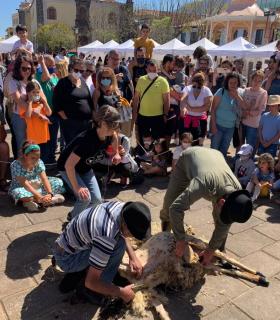 La Orotava: todo un éxito la feria regional de la Lana · foto 2