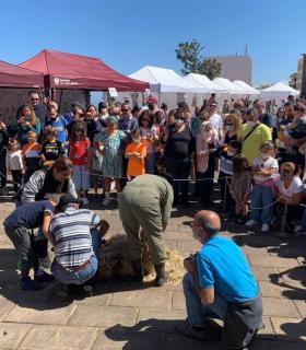 La Orotava: todo un éxito la feria regional de la Lana · foto 5