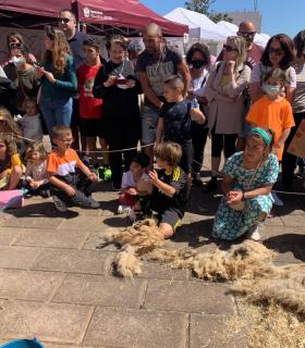 La Orotava: todo un éxito la feria regional de la Lana · foto 9