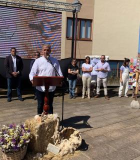 La Orotava: todo un éxito la feria regional de la Lana · foto 13