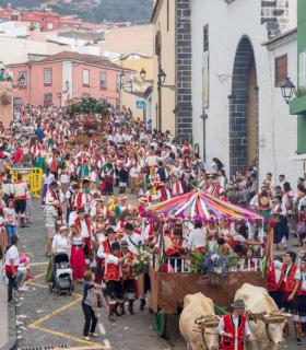 Este domingo se celebra la Romería de La Orotava, la más bonita de Canarias · foto 6