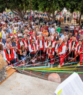 La Orotava: el recinto de Las Dehesas congrega este sábado más de 1.200 cabezas de ganado · foto 9