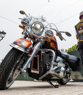 Decenas de motos Harley-Davidson protagonizan la primera exposición de la icónica marca norteamericana en La Esperanza · foto 1