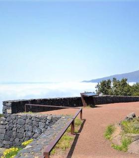 Descubrir La Orotava a través de sus dragos y miradores · foto 18