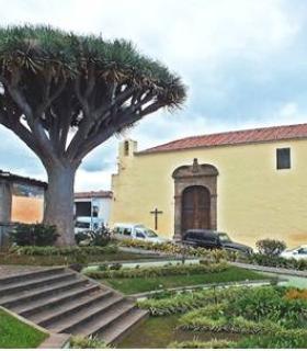 Descubrir La Orotava a través de sus dragos y miradores · foto 5