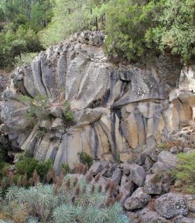 Descubrir La Orotava a través de sus dragos y miradores · foto 1