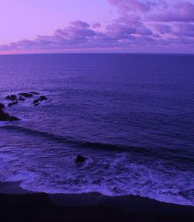Descubrir La Orotava a través de sus dragos y miradores · foto 11